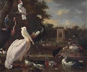 A Pelican and other exotic birds in a park Melchior de Hondecoeter